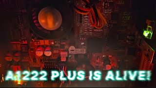 The AmigaOne 1222 Plus is ALIVE!