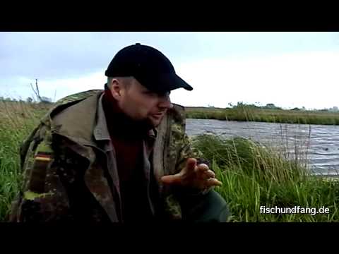 Failures, bad luck and mishaps 2006 Part 1