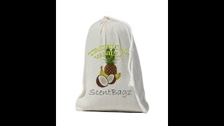 ScentBagz Air Freshener - novelty car air freshener