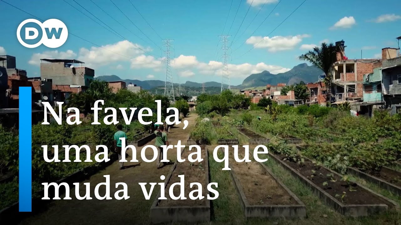 A maior horta comunitária da América Latina