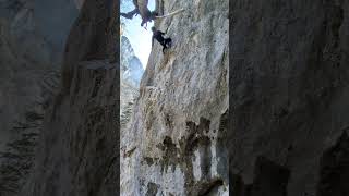 Arcad, D10, Surplomba de la copertină