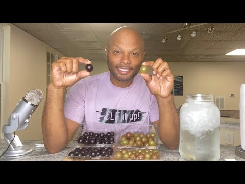 YouTube video about: What are muscadines?