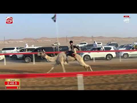  ش 10 (الساعي) لـ علي عبيد علي هلال الخاطري 3:04:98 , ختامي العين 2026/10/03 السباق التراثي الروضة
