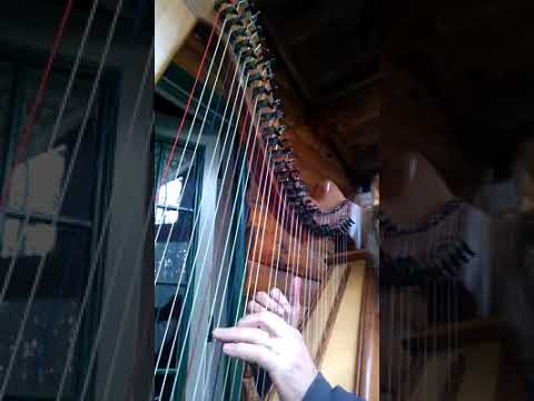 Promotional video thumbnail 3 for Kim Adamson, harpist