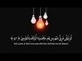 سورة النور من 46 الى 57 | An-nur