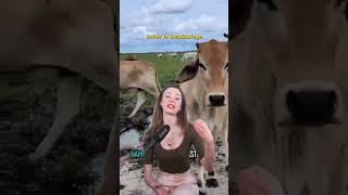 🐄😱 L’IA sur des VACHES : l’agritech va-t-elle trop loin ?