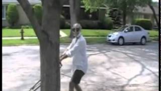 Mr Z Mows The Lawn And Takes Five