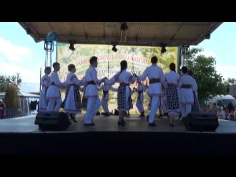 Sarbatoarea Salcamului Liesti 2015 prima parte