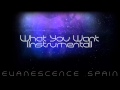 Evanescence What You Want Instrumental [HD ...