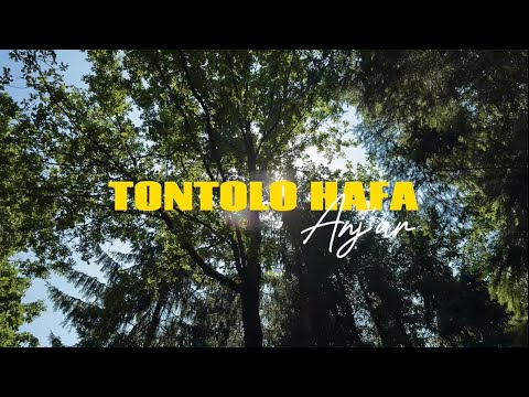 ANJ‘AR - TONTOLO HAFA 2025 (Shot on iphone 16 pro max)