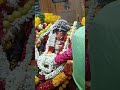 Shorts Rajapalayam Dhuropathi Amman Kovil Thiruvila