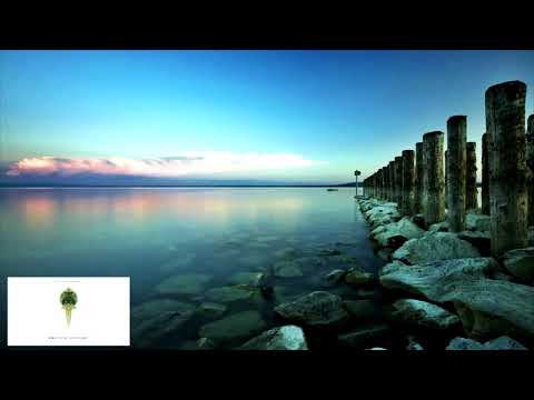 download lagu mp3 mp4 Pale Blue Dot Company, download lagu Pale Blue Dot Company gratis, unduh video klip Pale Blue Dot Company