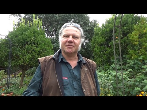 Beleura House &  Garden