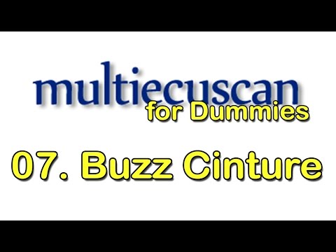 07 MultiEcuScan - Buzz Cinture