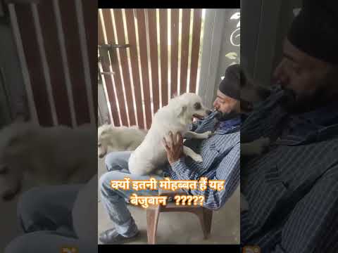 ❤️❤️❤️❤️❤️ #my pets