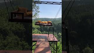 Download lagu Pineus Forest View - Curug Candung | New Zelandnya Jawa Barat Tasikmalaya Garut #shorts mp3