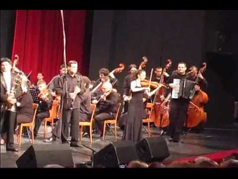 D. Shostakovich - VALCER br.2