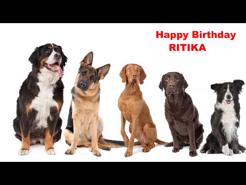 Ritika - Dogs Perros - Happy Birthday