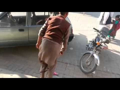 Funny clips dogs vs dog