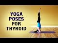 Yoga Poses For Thyroid Shikha Chandok