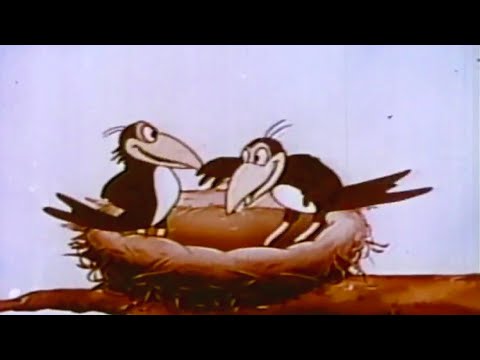 THE TALKING MAGPIES | Full Cartoon Episode