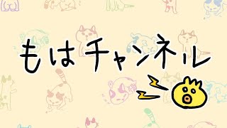 【APEX】mamokitiさんと