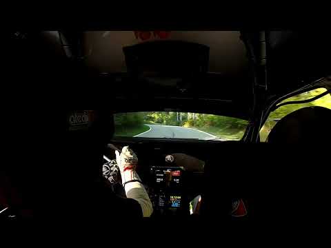 Cameracar PELGANTINI METALDI 32° Rally del Rubinetto 2025