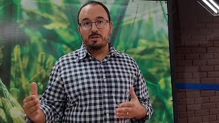 Miniatura do vídeo