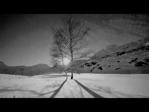 Tom Szirtes - Lake Expectant