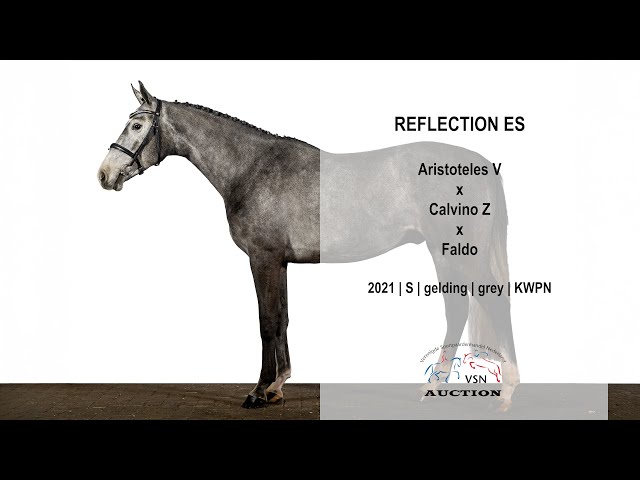 Auction video