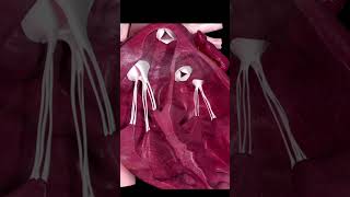 Heart Valve Animation | Watch How Your Heart Works
