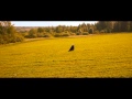 Диана Полушкина - Два ярких луча (OFFICIAL VIDEO) 