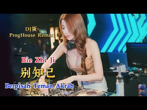 DJ版 - 别知己 - Bie Zhi Ji - 海来阿木 ( ProgHouse Remix ) Berpisah Teman Akrab #dj抖音版