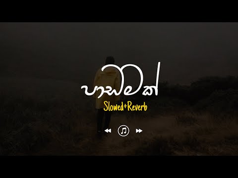 Padamak - පාඩමක් (Slowed+Reverb)