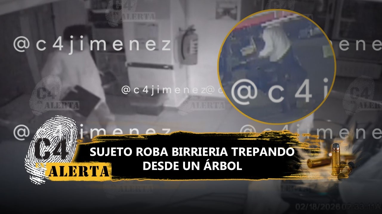¡Escaló un árbol! Captan a hombre robando tablets, laptops y dinero de negocio en Anzúres, CdMx