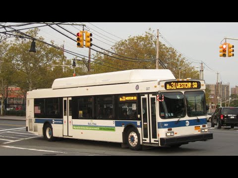 Bx31 Schedule