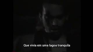 MEAT PUPPETS - whirlpool (Legendado)