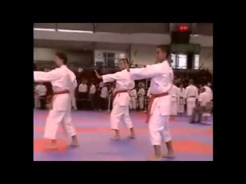 EUROPEAN KARATE CHAMPIONSHIP FOR REGIONS - PARIS 2006  (SEMI-FINAL)