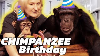 Vali The Chimp's 11th Birthday!