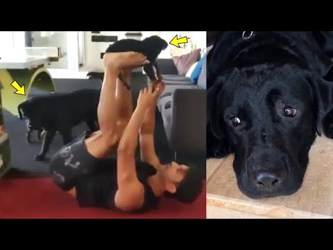 Sushant Singh Rajput Last Time Playing With His DOG Fudge Puppies Shows How Kind Hearted He Was!