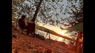 Camping in Canada  海外でキャンプ！カナダの大自然の中でカヌー漕いでキャンプしてきました