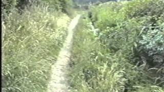 Shape of the Rain - Dusty Road.mpg