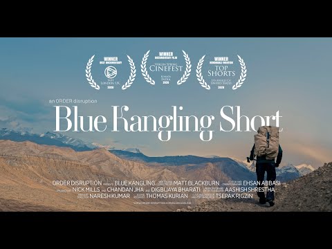 ORDER - Blue Kangling Short - Documentary Film