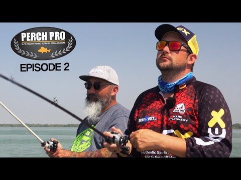 PERCH PRO 5 - Episode 2 - The Topwater War (with German & French subtitles, Polish coming later)
