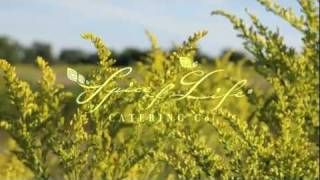 Spice of Life Catering Co. Brand Video