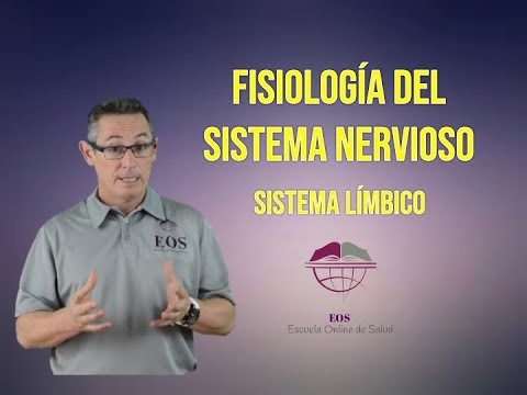 14. SISTEMA LÍMBICO