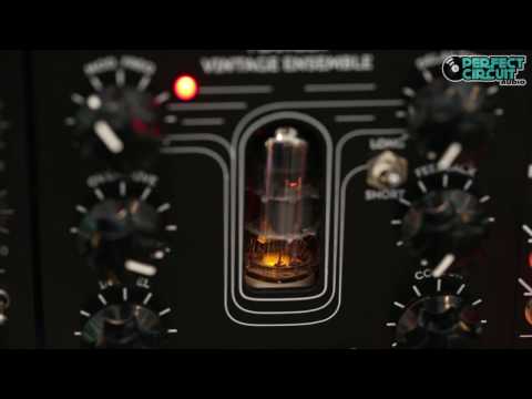 Erica Synths Fusion Delay / Flanger / Vintage Ensemble [B-STOCK] image 2