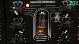Video thumbnail for Erica Synths Fusion Delay / Flanger / Vintage Ensemble by Perfect Circuit