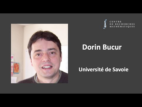 Dorin Bucur: The geometric size of the fundamental gap