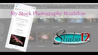 My Stock Photography Workflow, from Downloading Images to Uploading to the Agencies